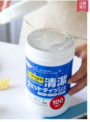 Antibacterial Cleaning Wipes